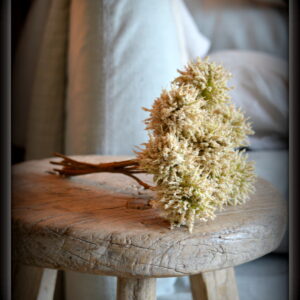 stoer en landelijk wonen