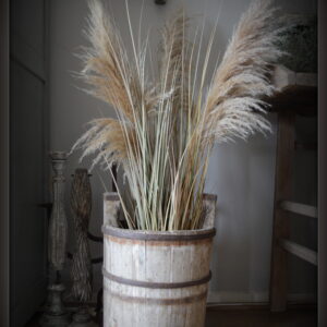 stoer en landelijk wonen. Pampasgras